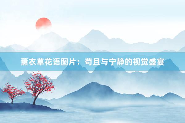 薰衣草花语图片：苟且与宁静的视觉盛宴