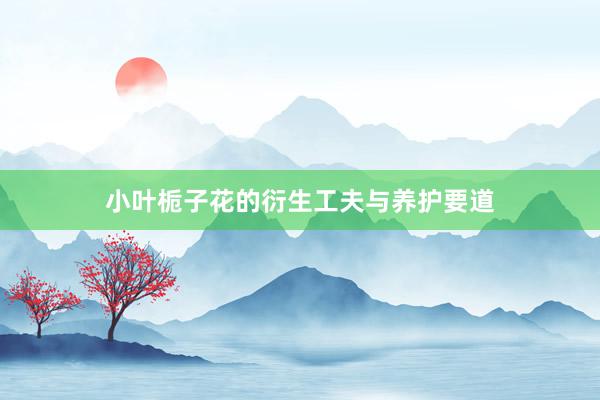 小叶栀子花的衍生工夫与养护要道